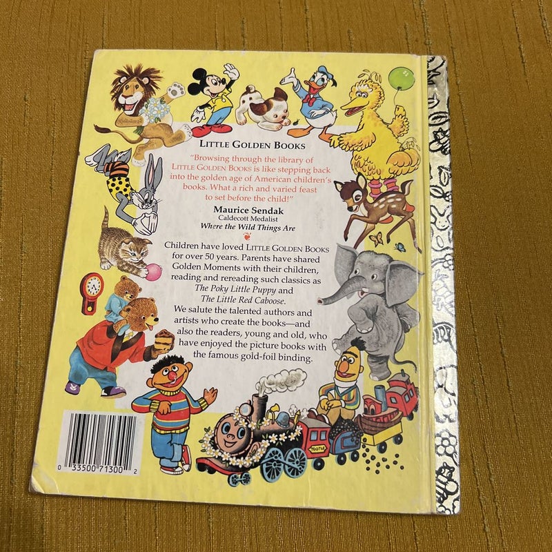 Pocketful of Nonsense - Little Golden Book