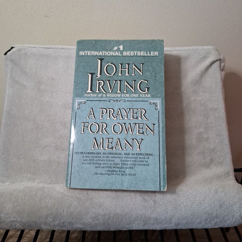 A Prayer for Owen Meany