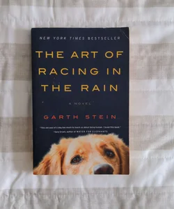 The Art of Racing in the Rain