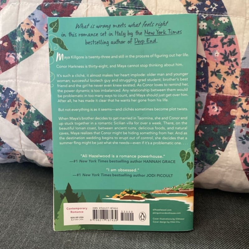 Problematic Summer Romance