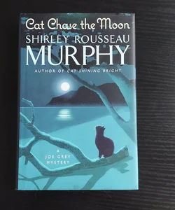 Cat Chase the Moon