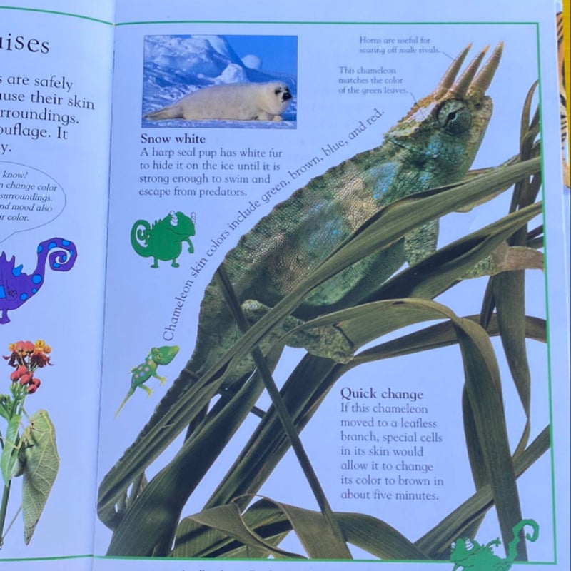 The Really Amazing Animal Book