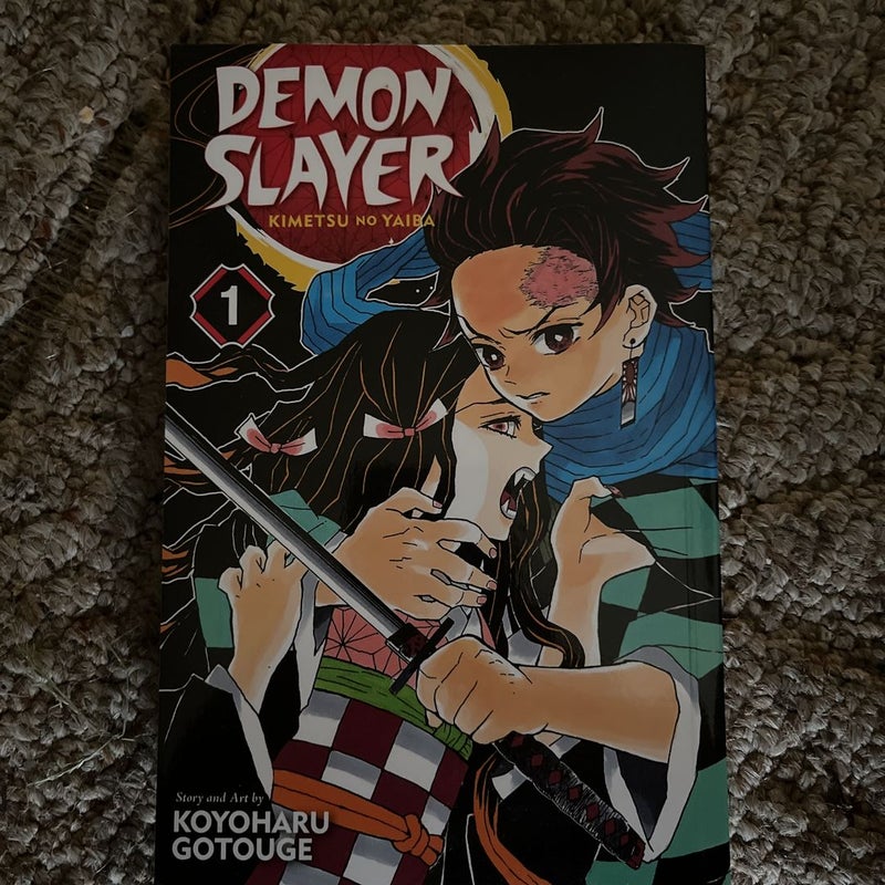 Demon Slayer: Kimetsu No Yaiba, Vol. 1