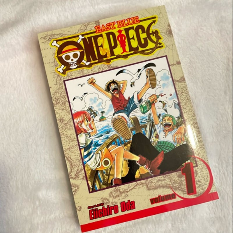 One Piece, Vol. 1