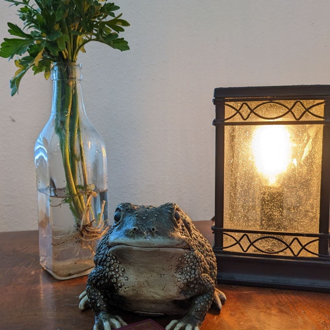 Rrrrobert's Corner