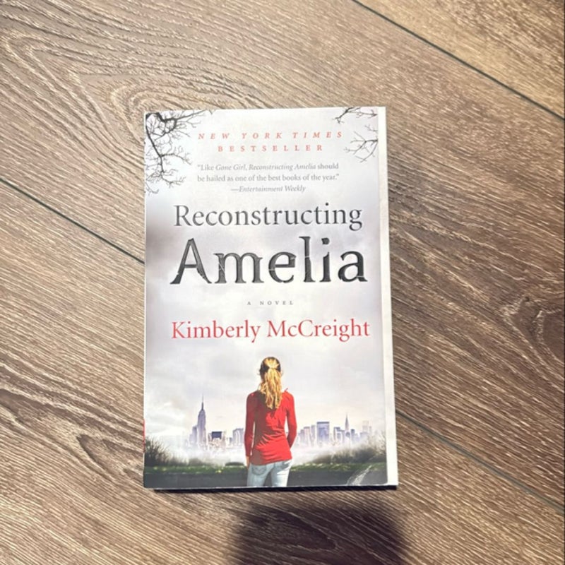 Reconstructing Amelia