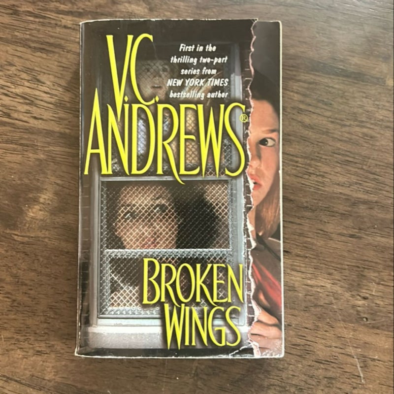 Broken Wings