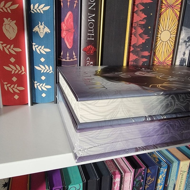 Bookish Box Of Shadow and Moonlight and To Ashes and Dust