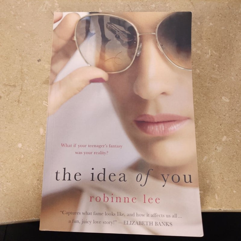 The Idea of You