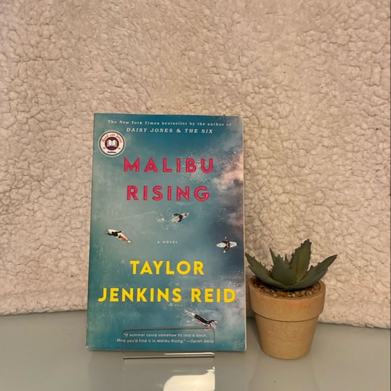 Malibu Rising