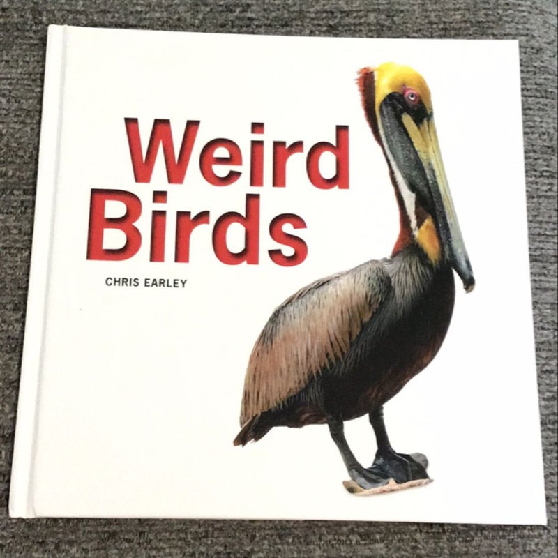 Weird Birds