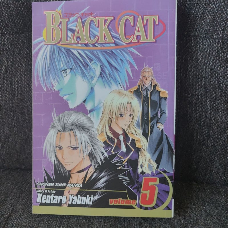 Black Cat, Vol. 5