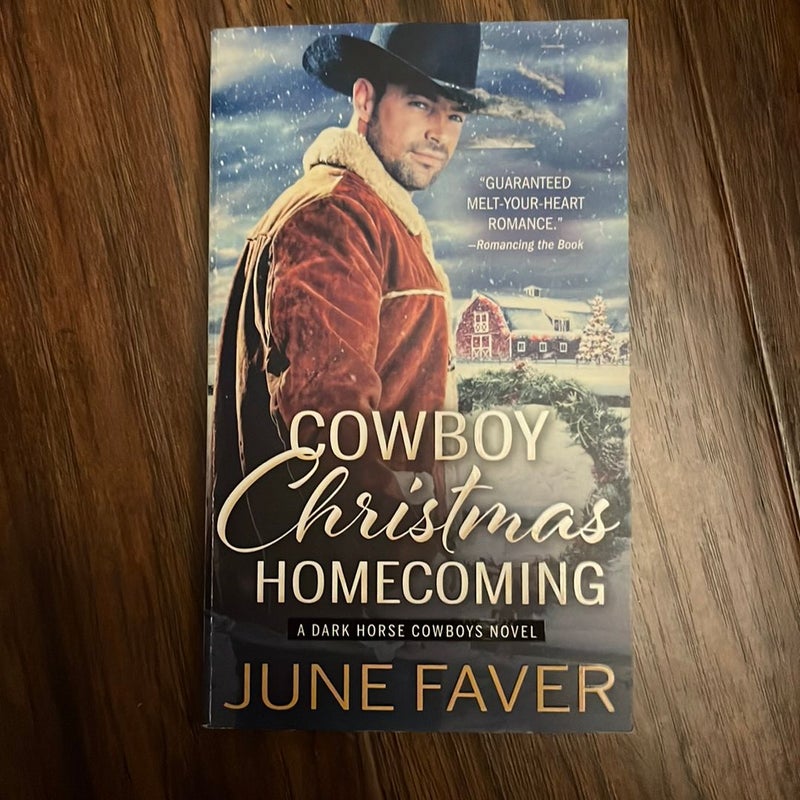 Cowboy Christmas Homecoming