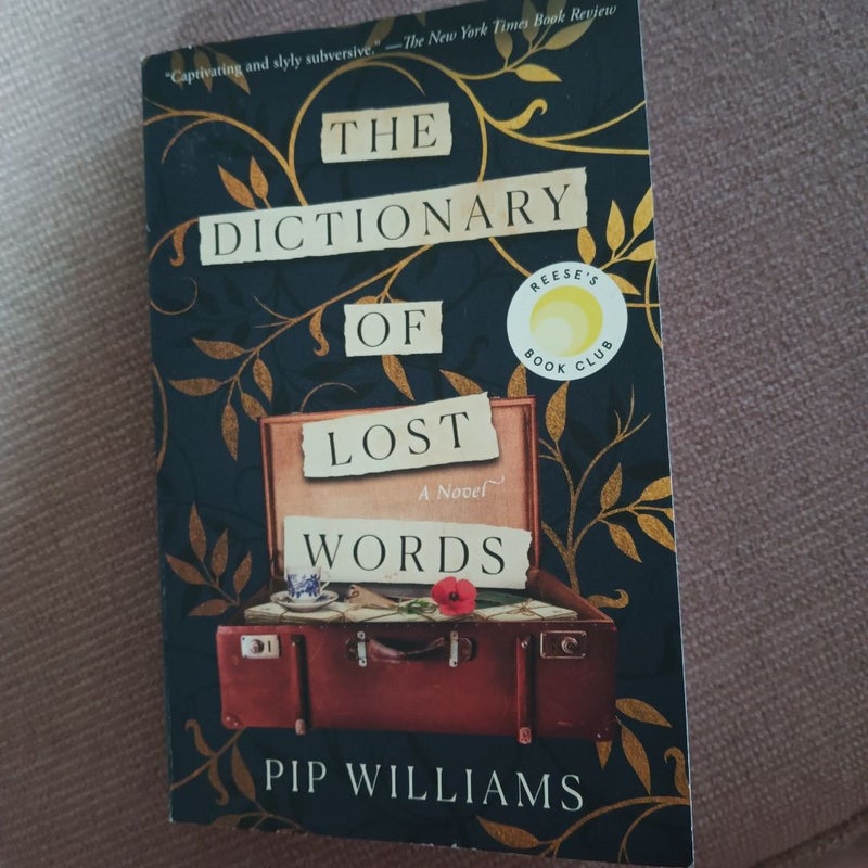 The Dictionary of Lost Words