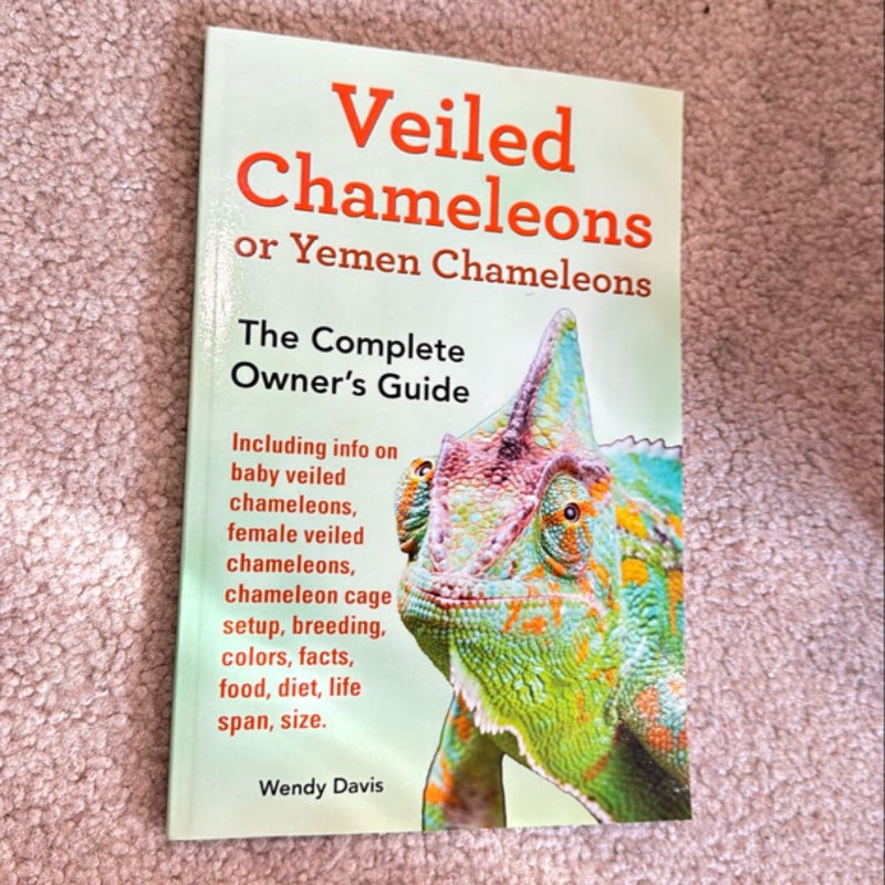 Veiled Chameleons or Yemen Chameleons As Pets. Info on Baby Veiled Chameleons, Female Veiled Chameleons, Chameleon Cage Setup, Breeding, Colors, Facts, Food, Diet, Life Span, Size