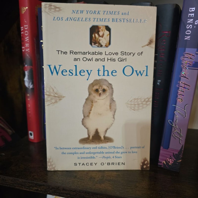 Wesley the Owl