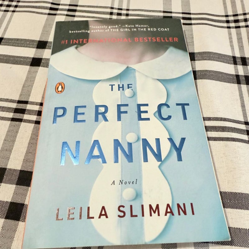 The Perfect Nanny