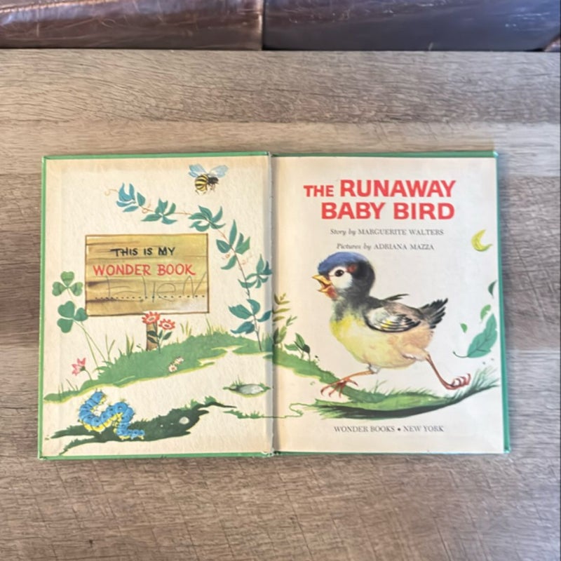 The Runaway Baby Bird