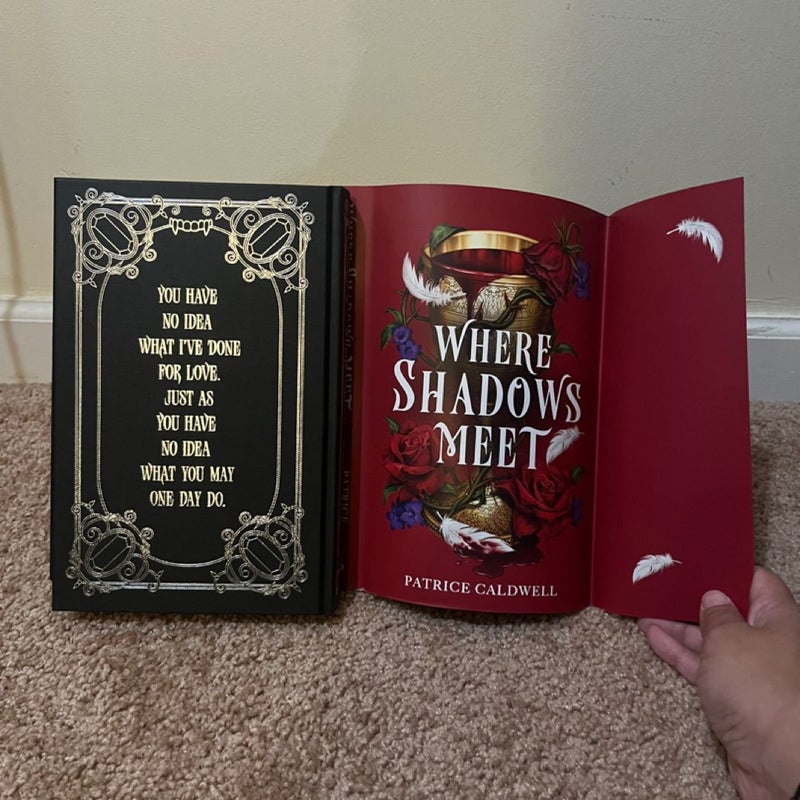 Where Shadows Meet