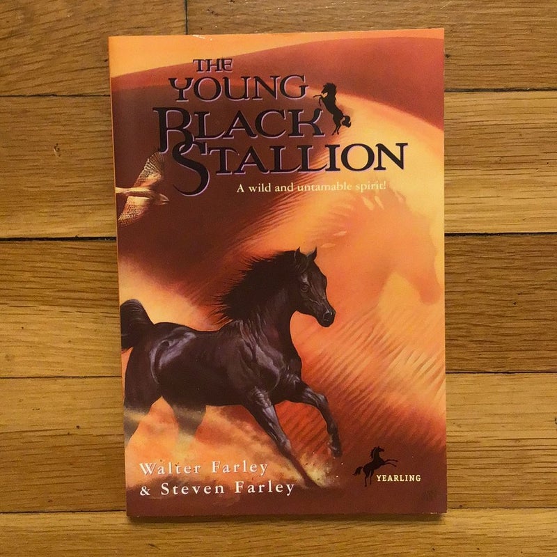 The Young Black Stallion