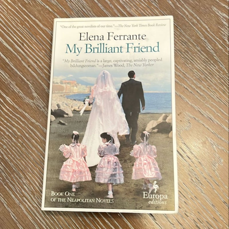 My Brilliant Friend