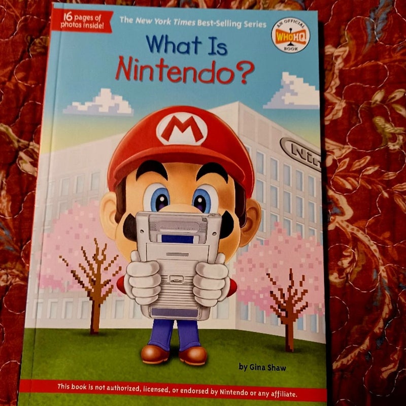 What Is Nintendo?