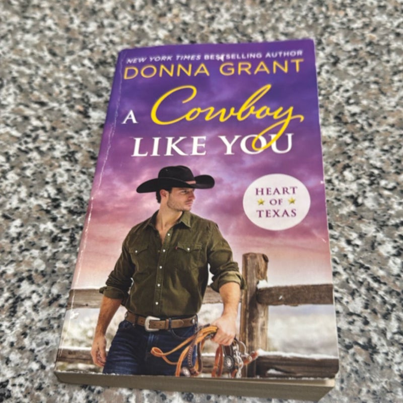 A Cowboy Like You