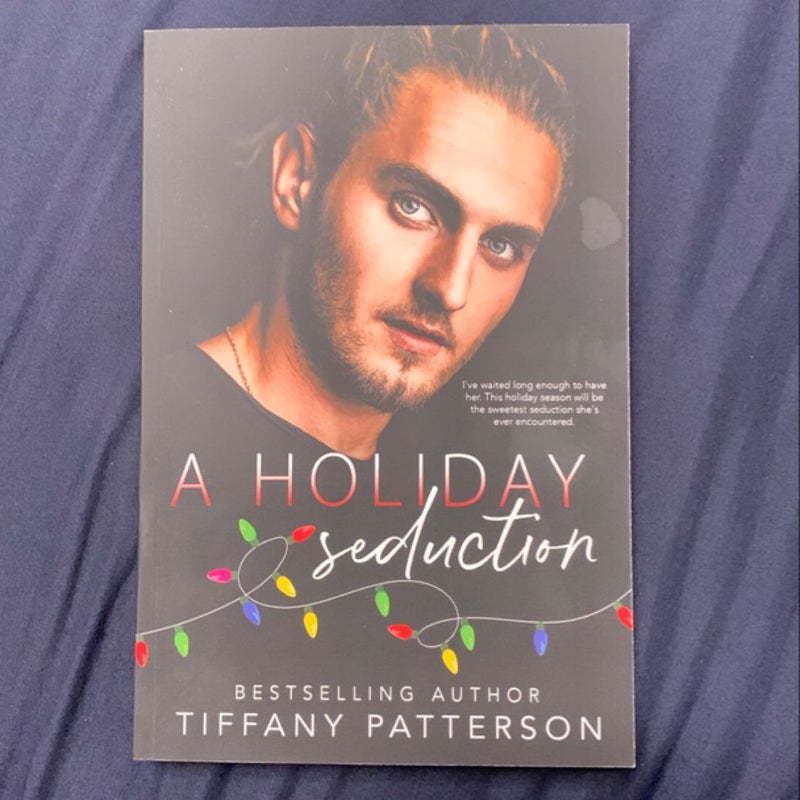 A Holiday Seduction 