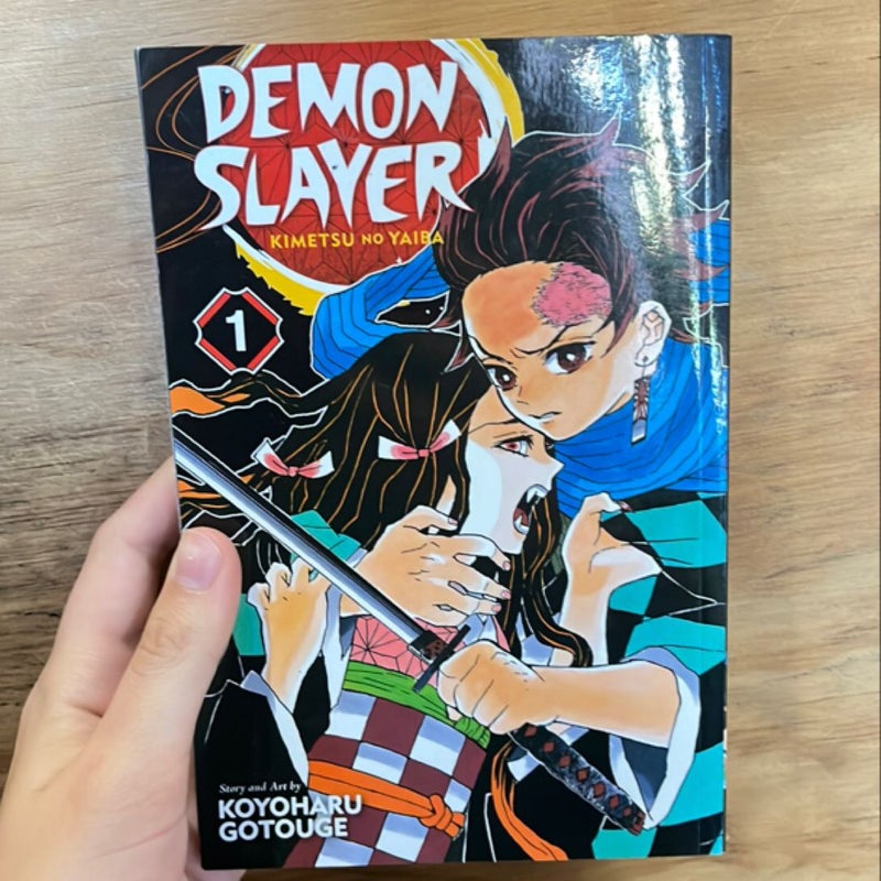 Demon Slayer: Kimetsu No Yaiba, Vol. 1