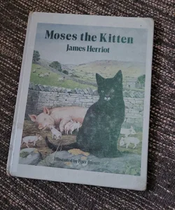 Moses the Kitten 