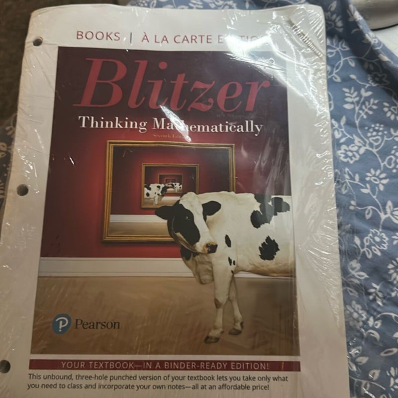 Blitzer Thinking Mathematically 