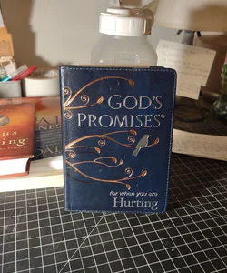 God's Promises for When You Are Hurting