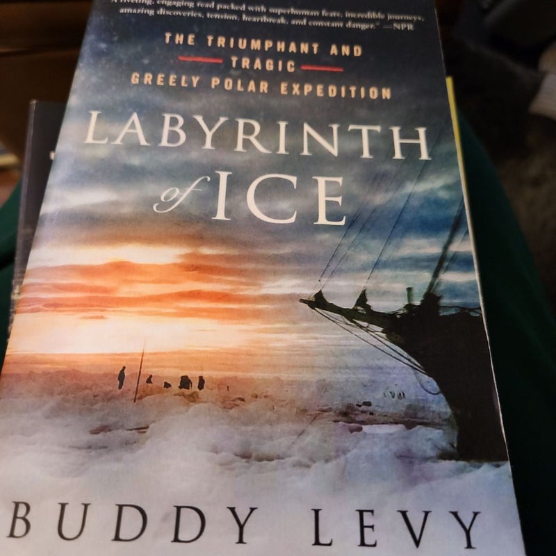 Labyrinth of Ice