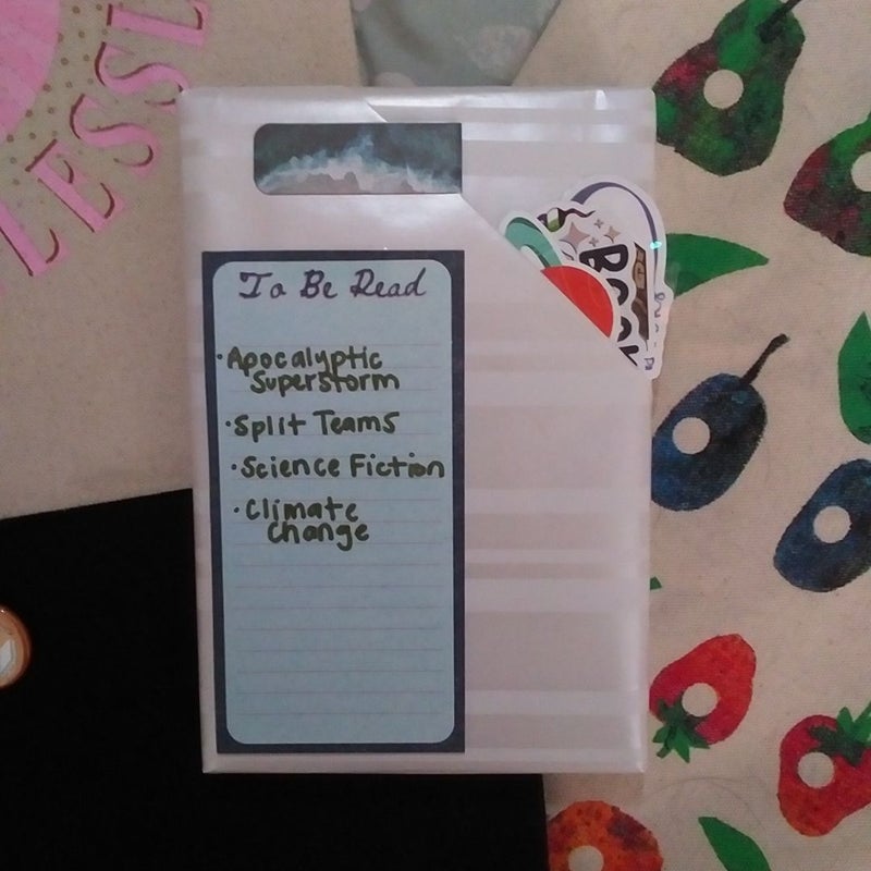 $5 Blind Date with a Book