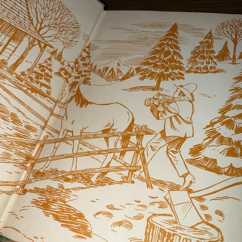 VINTAGE WHITMAN BONANZA KILLER LION HARDCOVER BOOK 1966