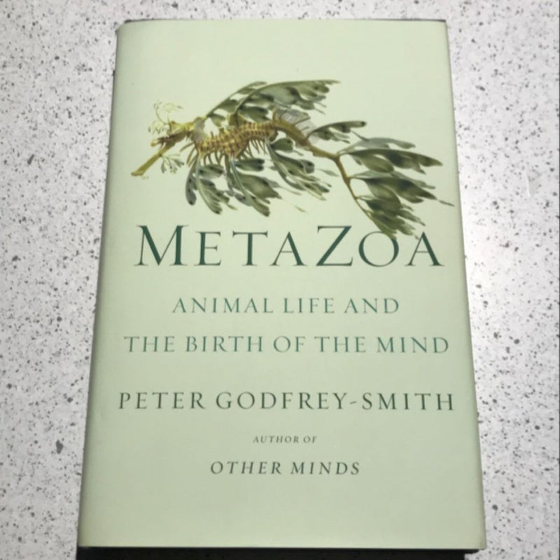 Metazoa