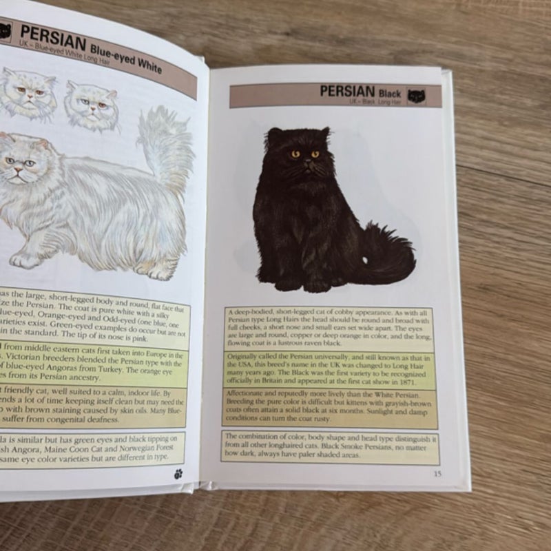 The Instant Guide to Cats