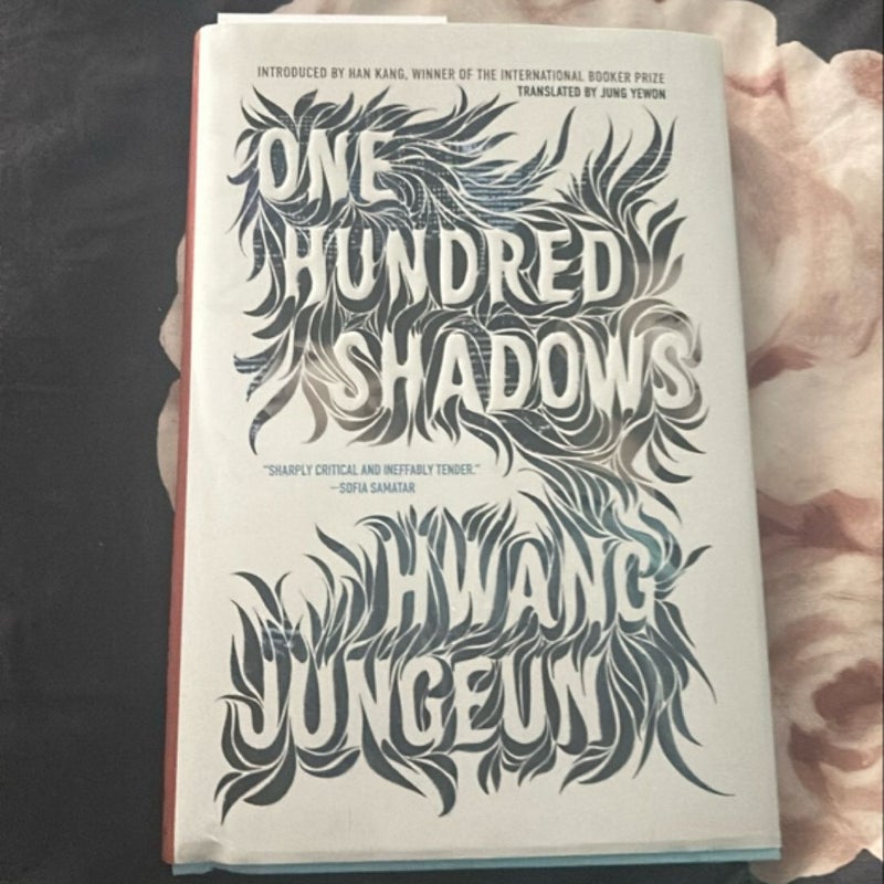 One Hundred Shadows