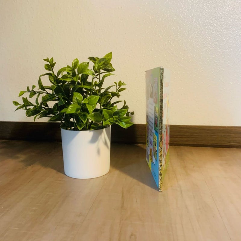 The Please and Thank You Book