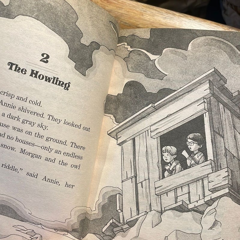 23 books: MAGIC TREE HOUSE series