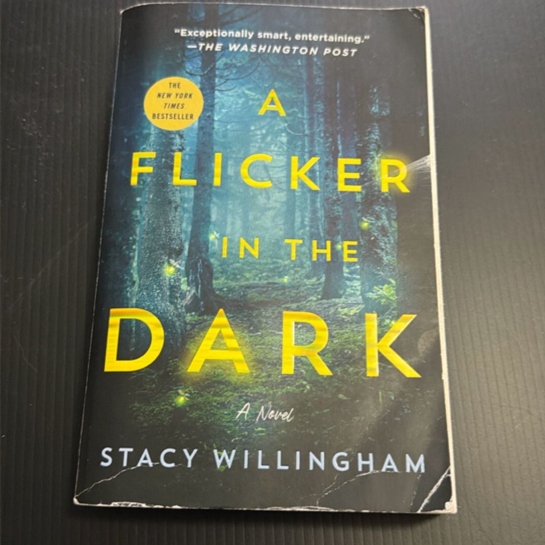 A Flicker in the Dark by stacy Willingham, Paperback | Pangobooks