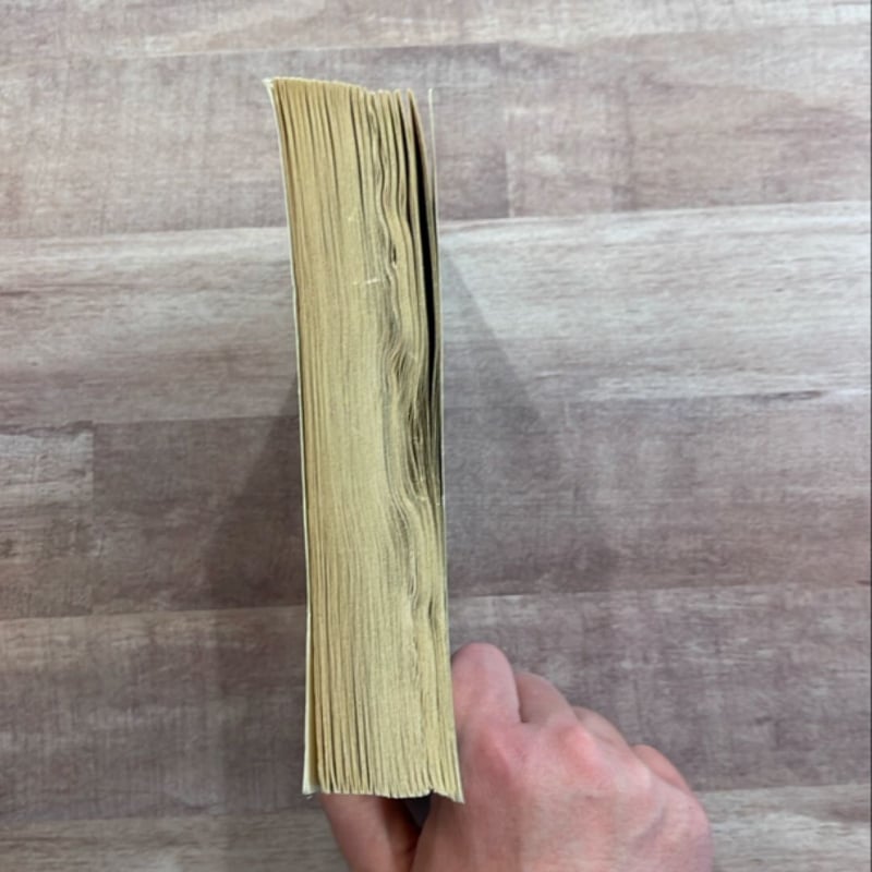 The Godmother's Apprentice