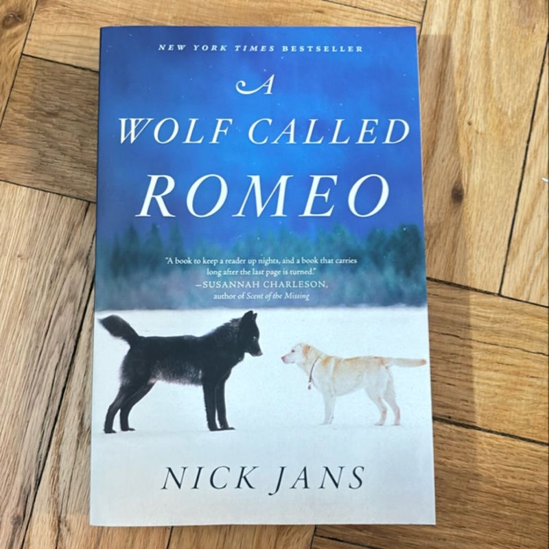 A Wolf Called Romeo