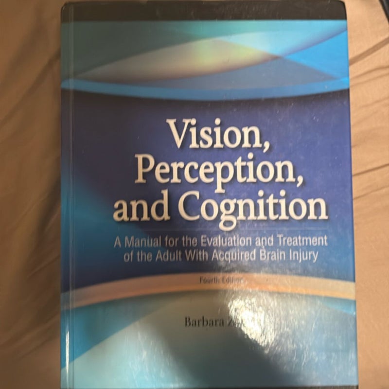 Vision, Perception, and Cognition