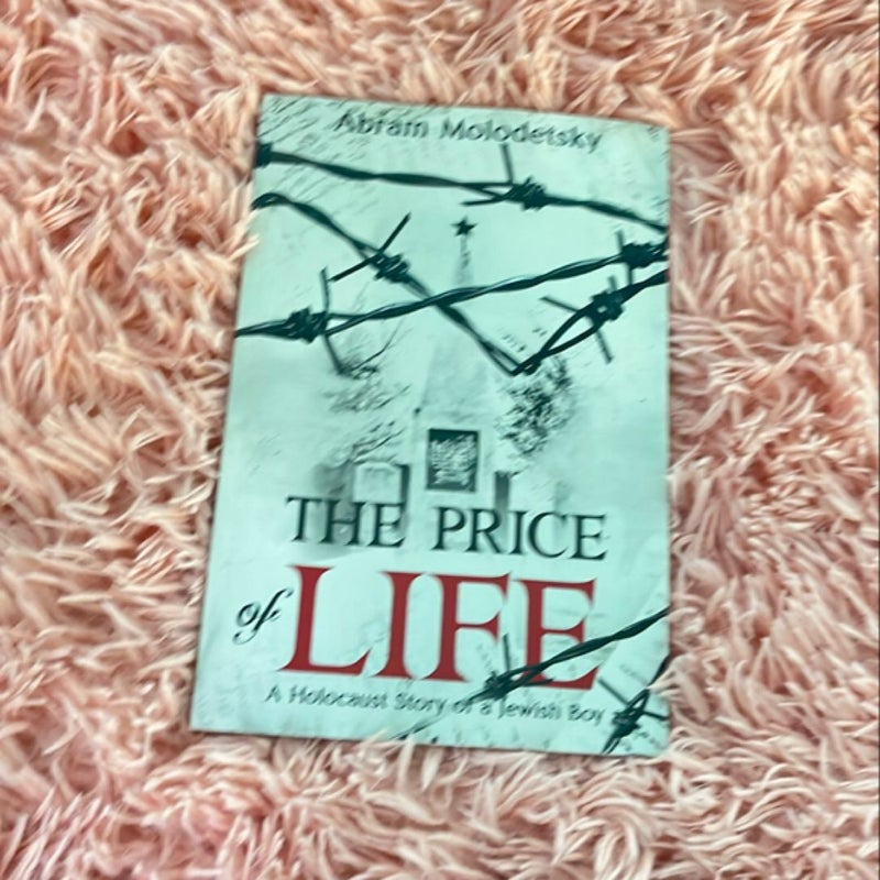 The Price of Life: a Holocaust Story of a Jewish Boy