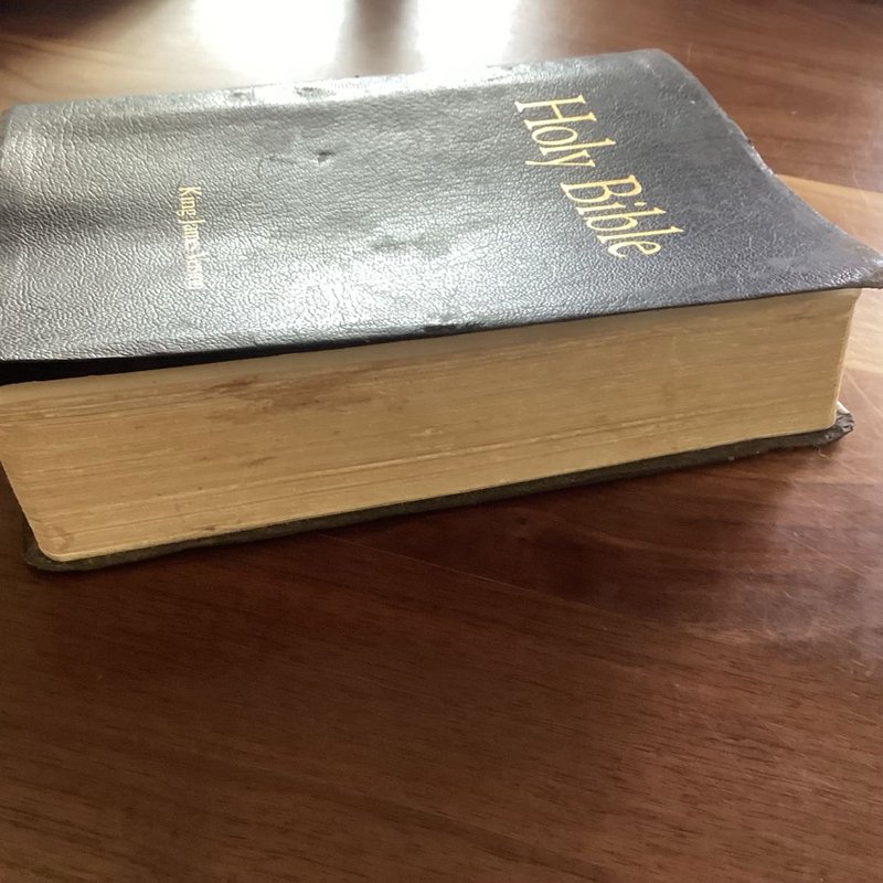 The African Heritage Study Bible