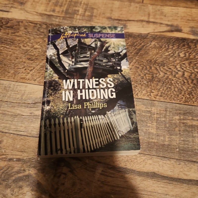 Witness in Hiding