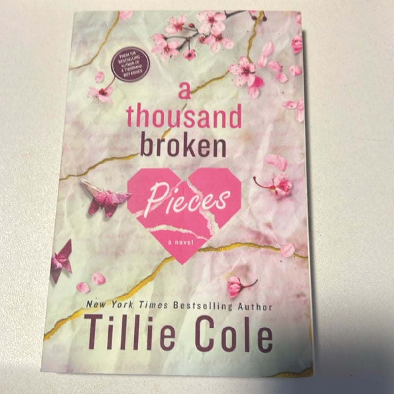 A Thousand Broken Pieces