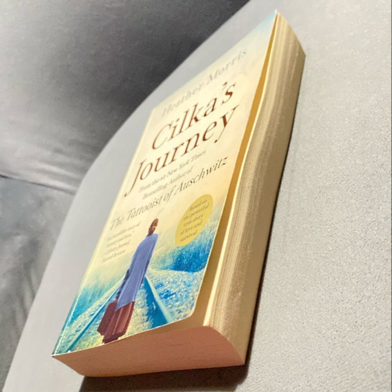 Cilka's Journey