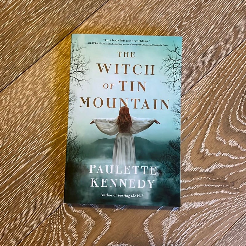 The Witch of Tin Mountain